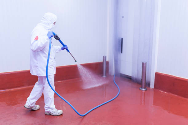 Best Sidewalk and Walkway Cleaning  in Rockfish, NC